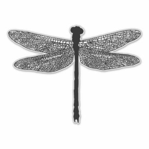 Dronfly Insekt Kryp willife Silhouette Klistermärken