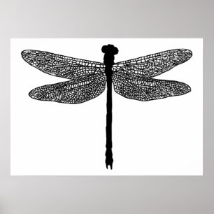Dronfly Kryp Insekt nature Silhouette art Poster