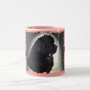 Drool Regler Newf Mugg