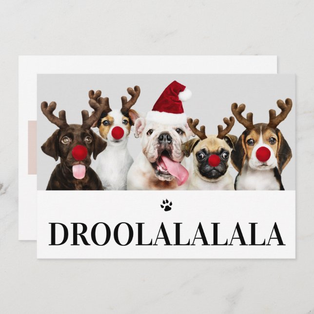 Droolalala Hund jul 5 fotokort Inbjudningar (Fram/baksida)