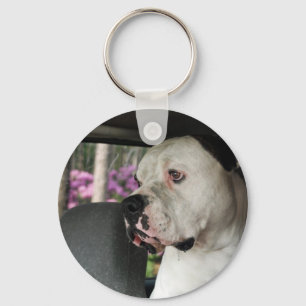drooling American Bulldog Nyckelring