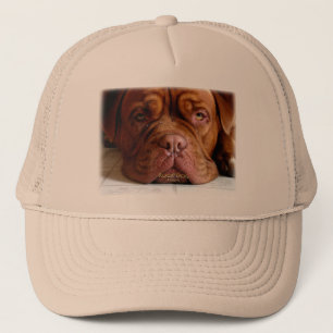 Droopy hundklassikerhatt keps