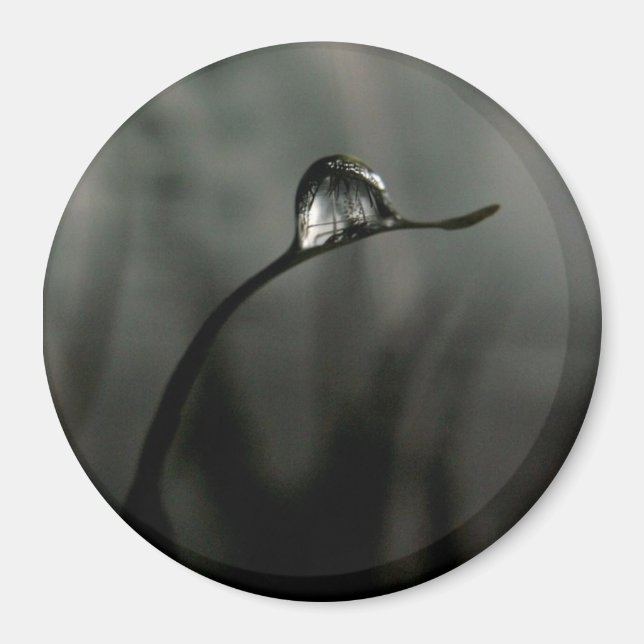 droplet magnet (Framsidan)