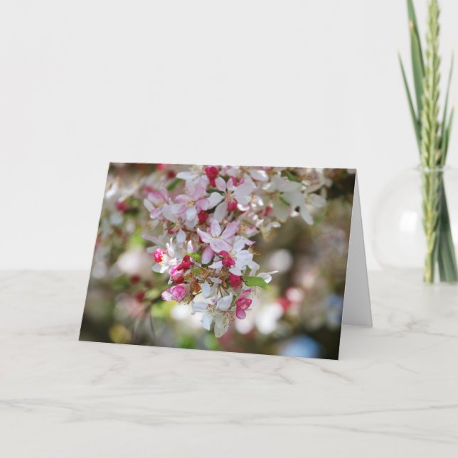 droplet of skönhet blank card kort (Framsida)