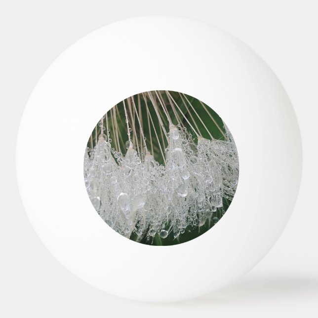 Droplet vatten pingisboll (Framsidan)