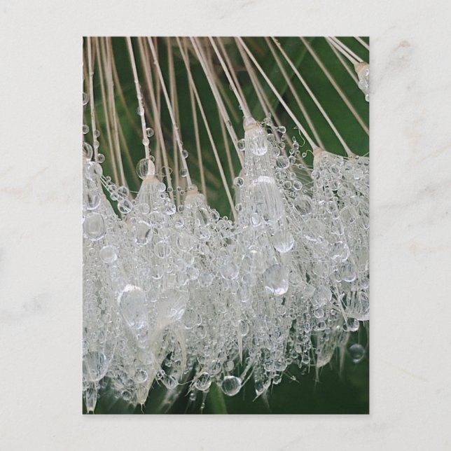 Droplet vatten vykort (Framsida)