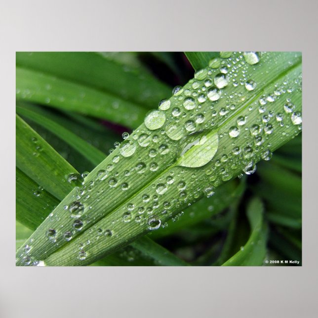 Droplets från vatten. poster (Framsidan)