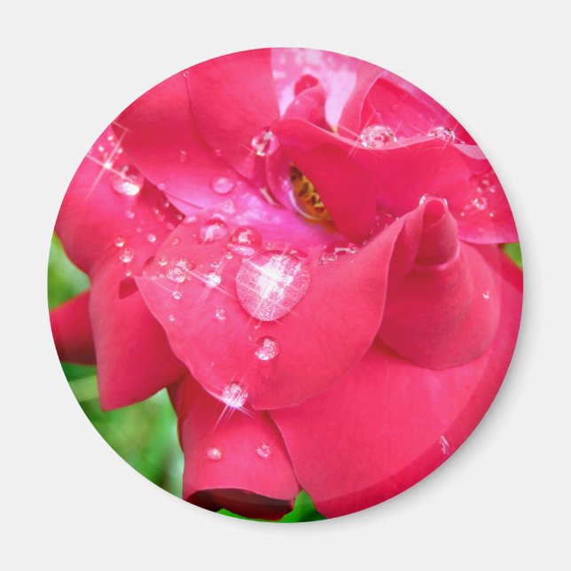 Droplets på Petals Fridge Magnet (Framsidan)