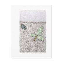 Droppar från vatten på fotografi av löv