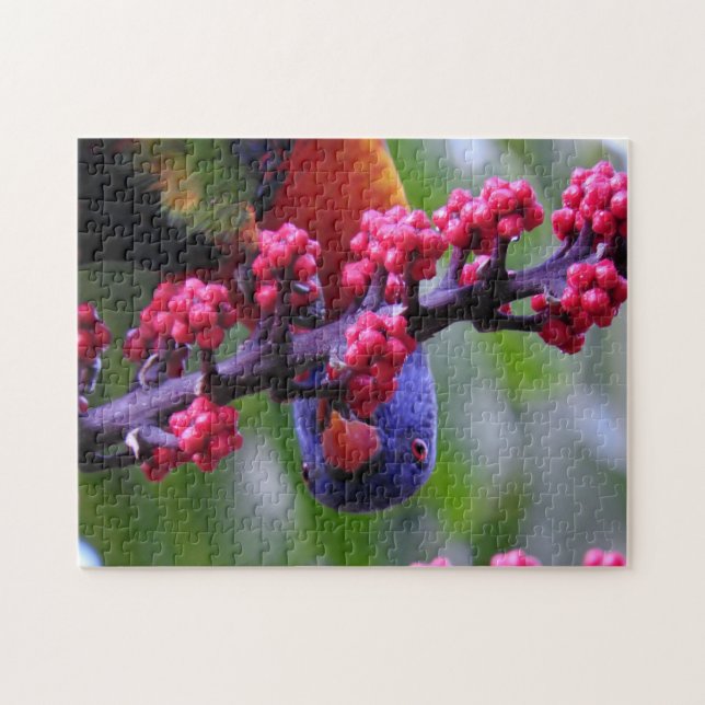 Droppar in för ett mellanmål - Rainbow Lorikeet Pussel (Horisontell)