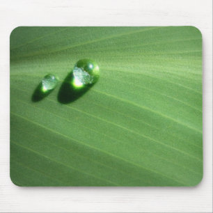 droppar musmatta