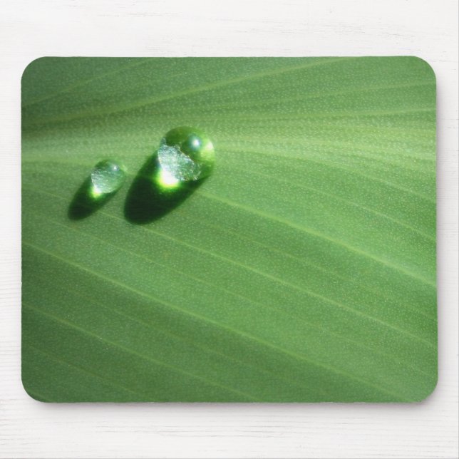 droppar musmatta (Framsidan)