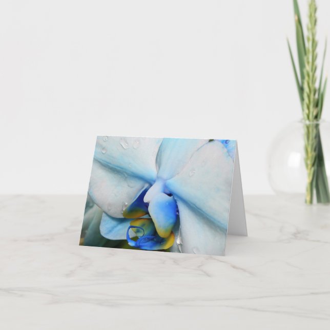 Droppar på Blue Orchid Kort (Framsida)