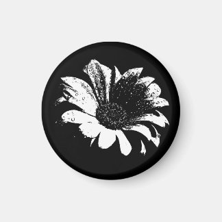 Droppar på Daisyn Magnet