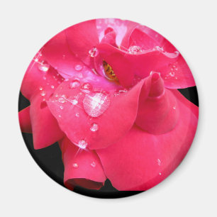 Droppar på petalmagnet magnet