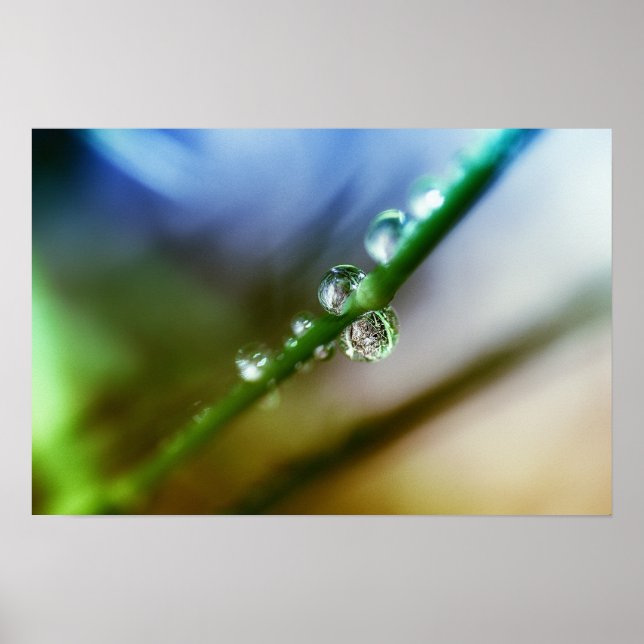 Droppar Poster (Framsidan)