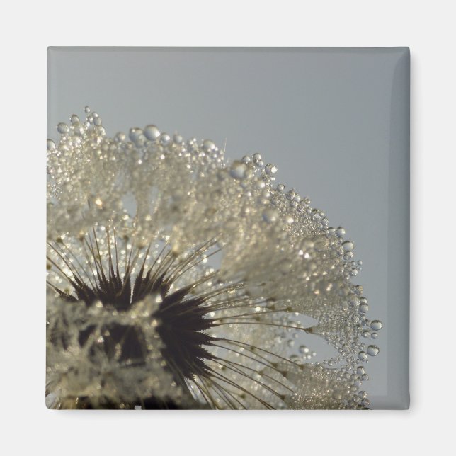 Dropparnas hjul magnet (Framsidan)