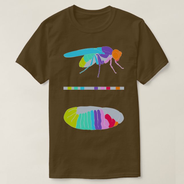 Drosophila Hox Genes T Shirt (Design framsida)
