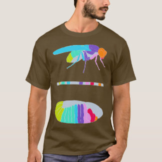 Drosophila Hox Genes T Shirt