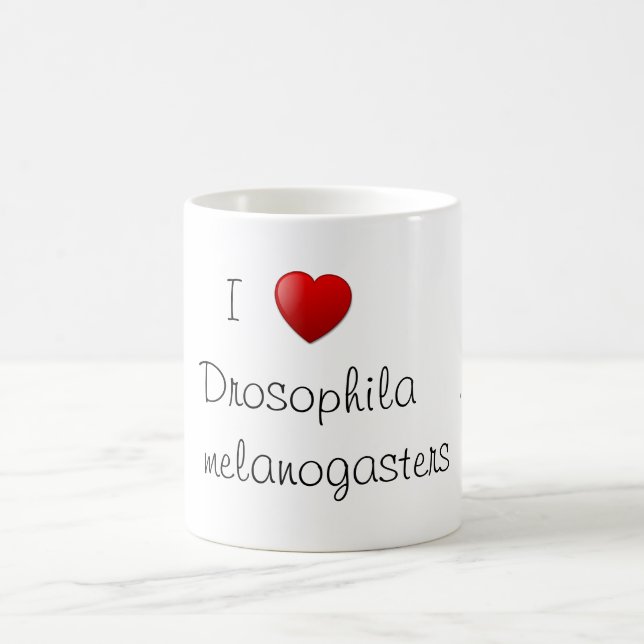 Drosophila Kaffemugg (Center)