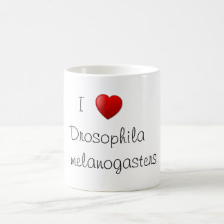 Drosophila Kaffemugg