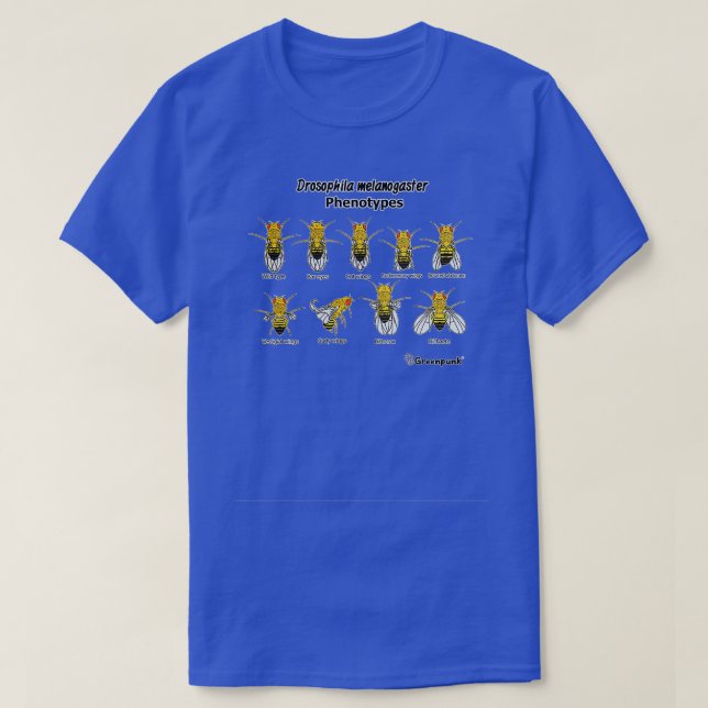Drosophila melanogaster Phenotyper T Shirt (Design framsida)