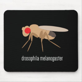 Drosophila Mousepad Musmatta