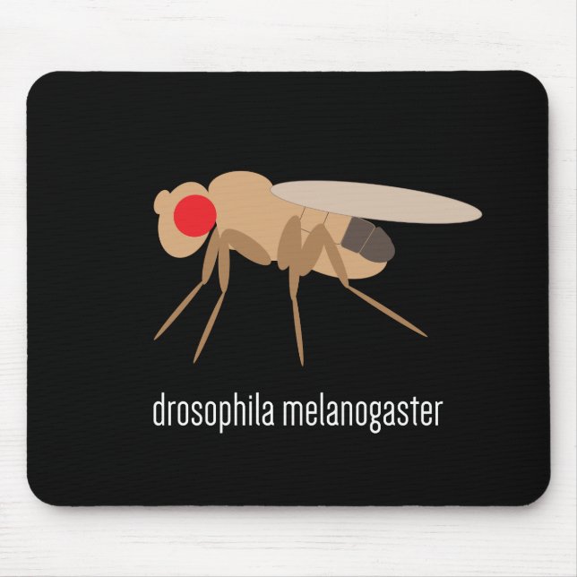 Drosophila Mousepad Musmatta (Framsidan)