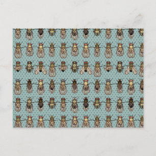 Drosophila-mutationer Vykort