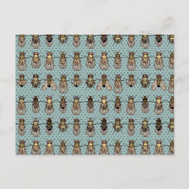 Drosophila-mutationer Vykort (Framsida)