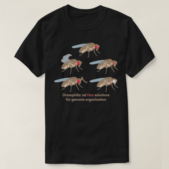 Drosophila Mutations Ad Hox Solutions for Genome O T Shirt (Design framsida)