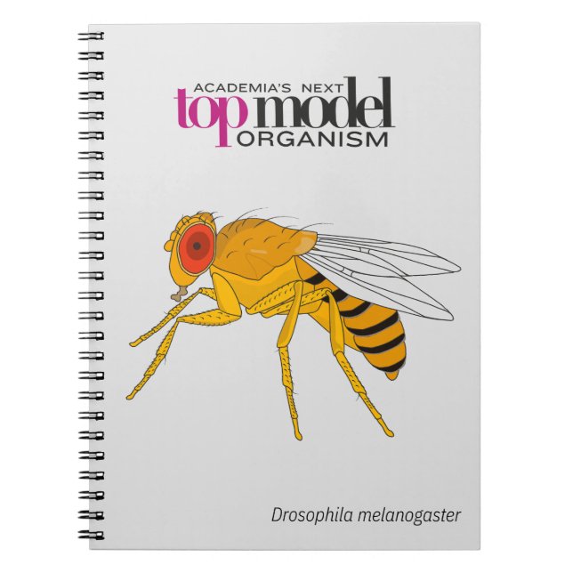 Drosophila spiral bärbar dator anteckningsbok (Framsidan)