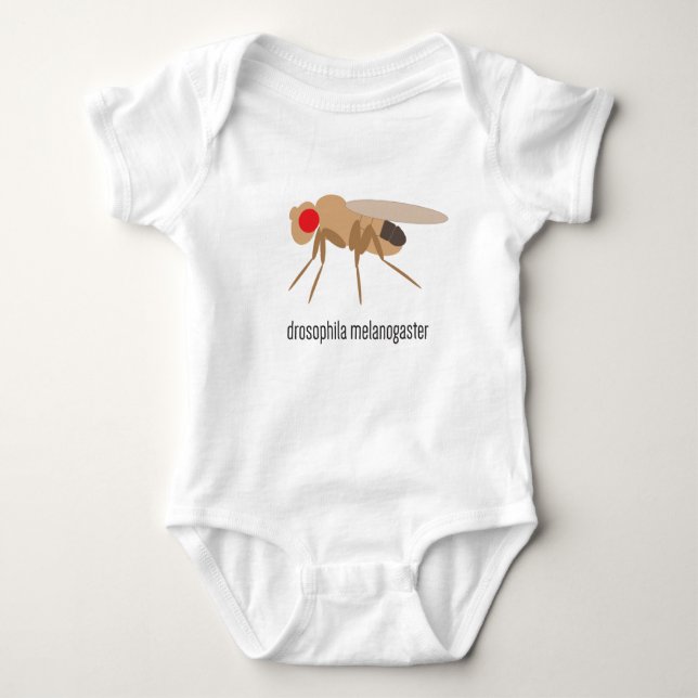 DrosophilababyBodysuit T-shirt (Framsida)