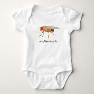 DrosophilababyBodysuit Tröja