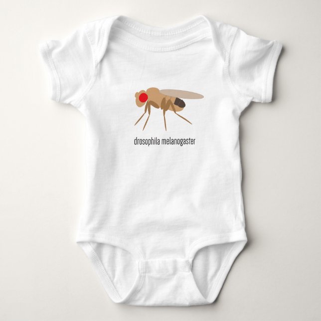 DrosophilababyBodysuit Tröja (Framsida)