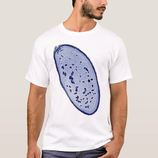 drosophilaembryo - DNA-fläck T-shirt (Framsida)