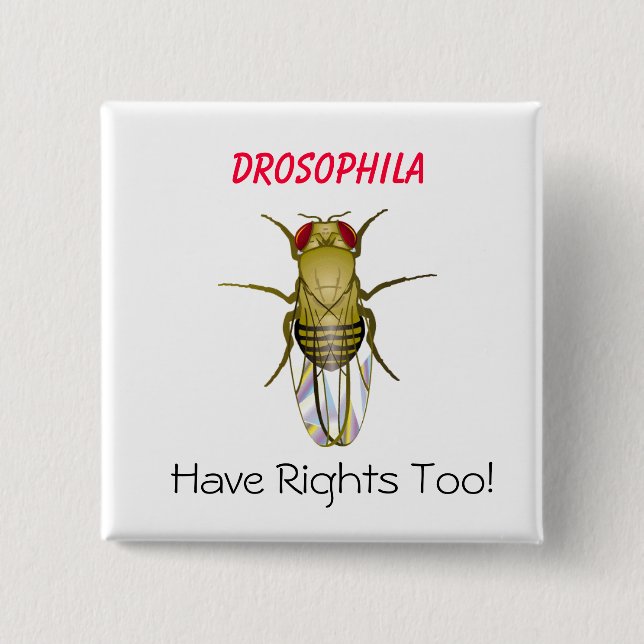 DROSOPHILAEN Drosophila, har Righ…, - Skräddarsy Knapp (Framsida)