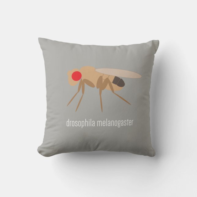 Drosophilaen kudder kudde (Framsida)