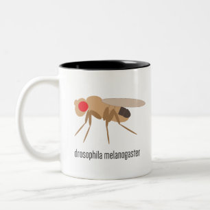 Drosophilakaffemugg Två-Tonad Mugg