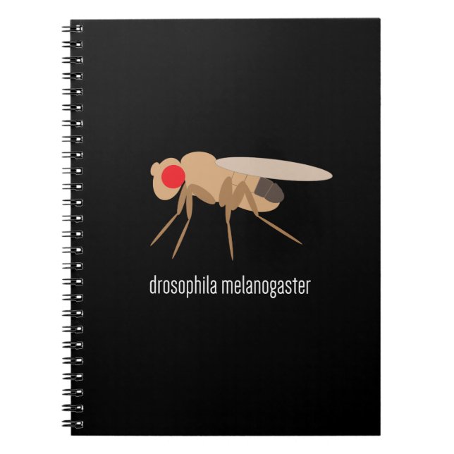 Drosophilalabbanteckningsbok Anteckningsbok Med Spiral (Framsidan)