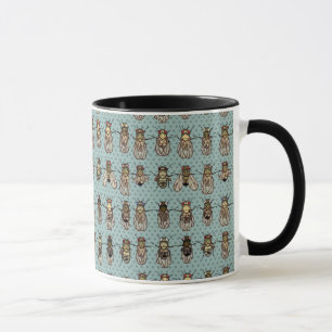 Drosophilamutants Mugg