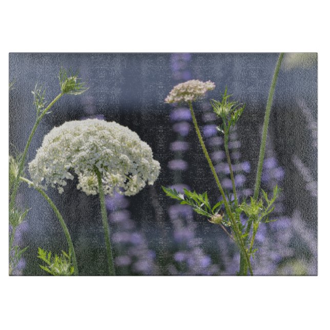 Drottning Anne's Snöre Cshing Board (Framsidan)