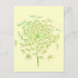 Drottning Anne's Snöre Gifts and Favors Vykort