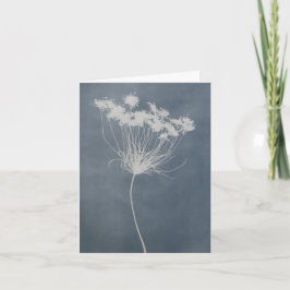 Drottning Annes spets blommig vykort tom insida