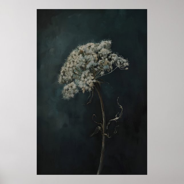 Drottning Annes spets Moody Mörk Blommig Utskriftl Poster (Framsidan)
