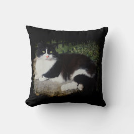 Drottning av den trädgårds- kattdekorativ kudde
