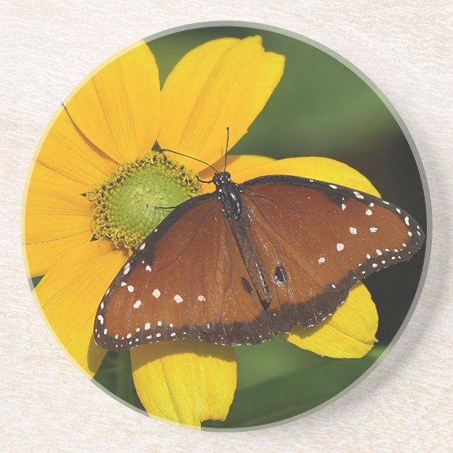 Drottning Butterfly på gult blomma Underlägg (Framsidan)