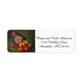 Drottning butterfly på tropiska mjölkgräs returadress etikett