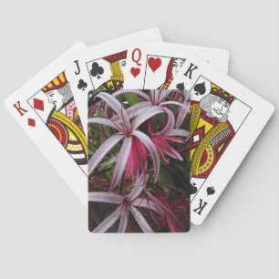 Drottning Emmas purpur Crinum-lilja Spel Kort