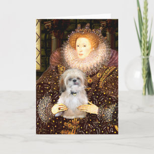 Drottning - Shih Tzu (P) Kort